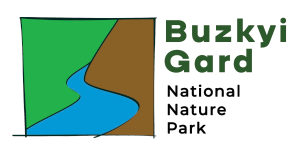site logo